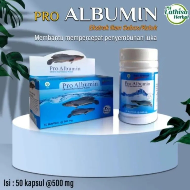 Pro albumin Ekstrak Ikan Gabus ORIGINAL