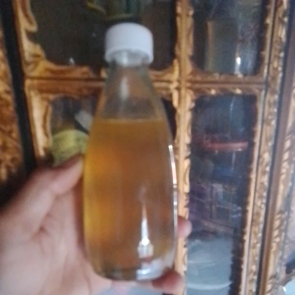 madu hutan asli Sumatra