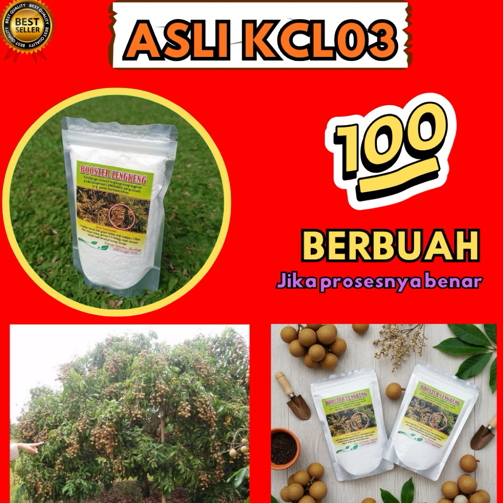 Booster Kelengkeng Murni 1 Kg, Booster Kelengkeng Kcl