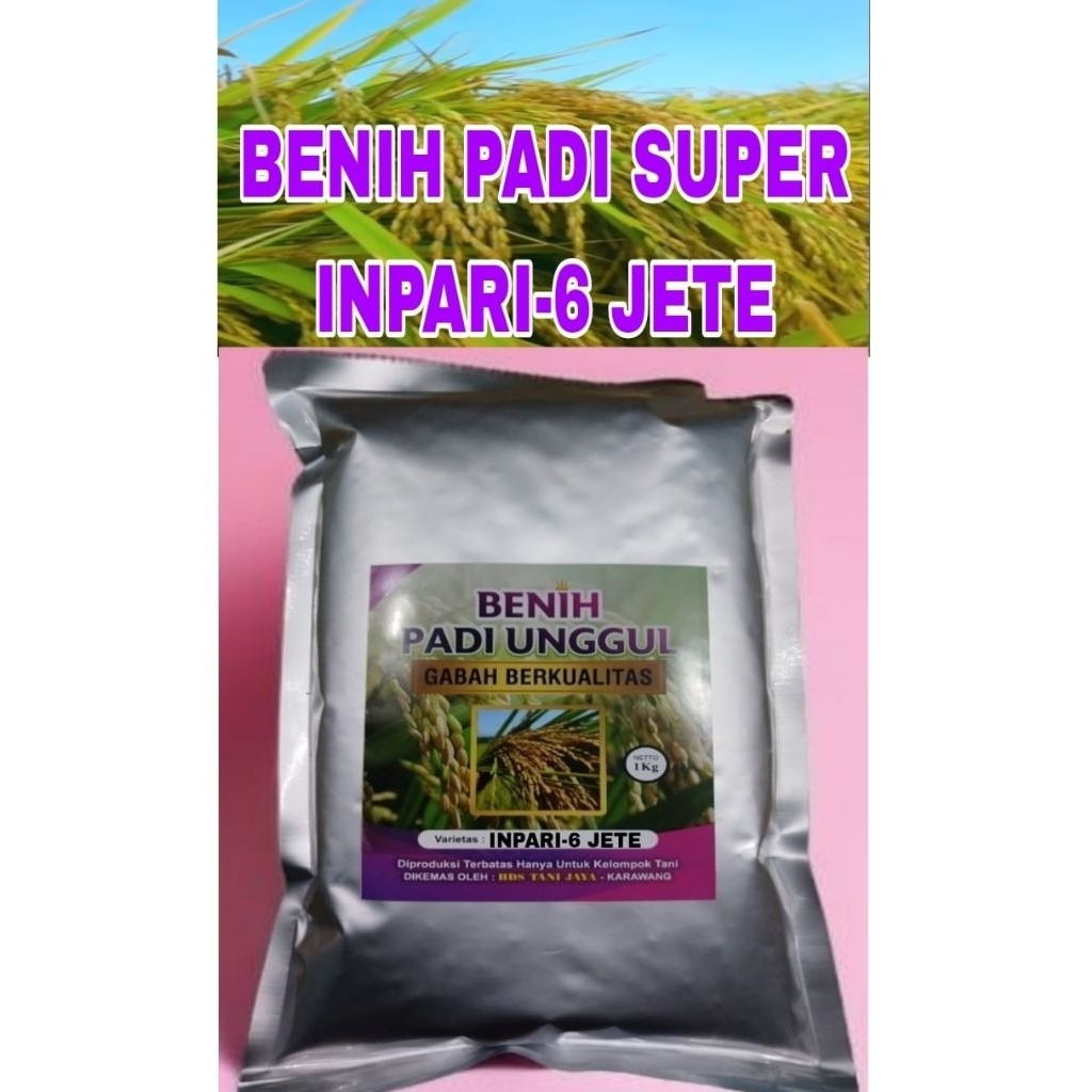 BENIH PADI 1KG INPARI-6 JETE KEMASAN PREMIUM LABEL PUTIH ORIGINAL