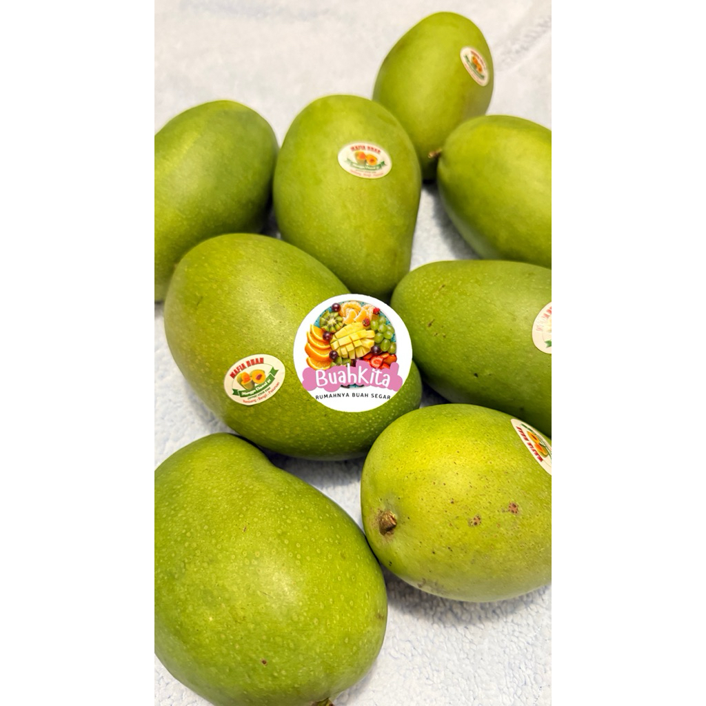 Mangga Matang Pohon Harum Manis