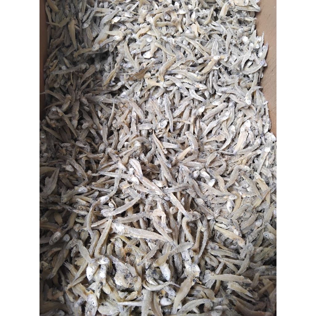 TERI JENGKI UKURAN KECIL 1 KILO.