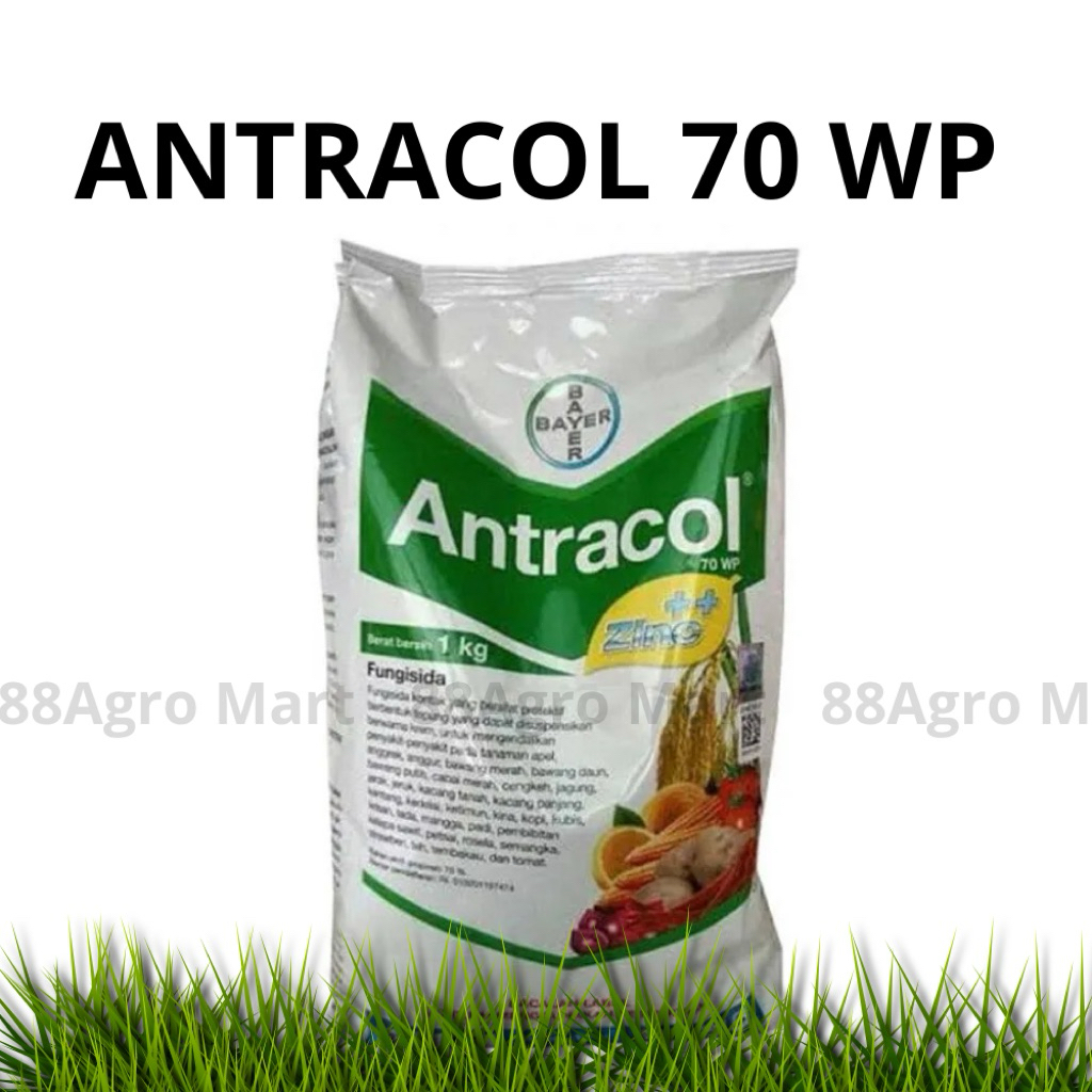 ANTRACOL 70 WP 1 KG FUNGISIDA / ANTRACOL 1KG ORIGINAL ASLI 100%