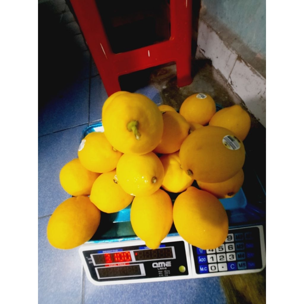 lemon import australia