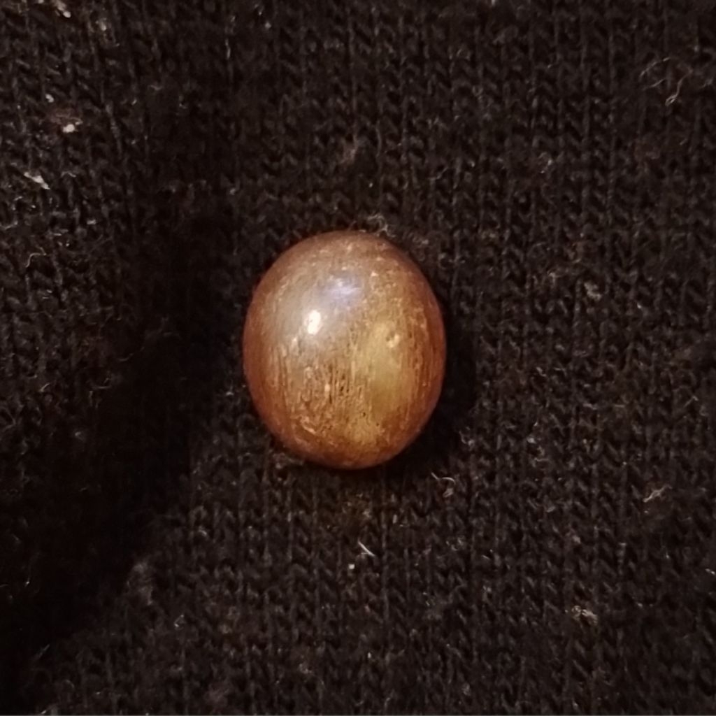 Batu Fosil Galih Asem Natural Alami Warna Cokelat Asli