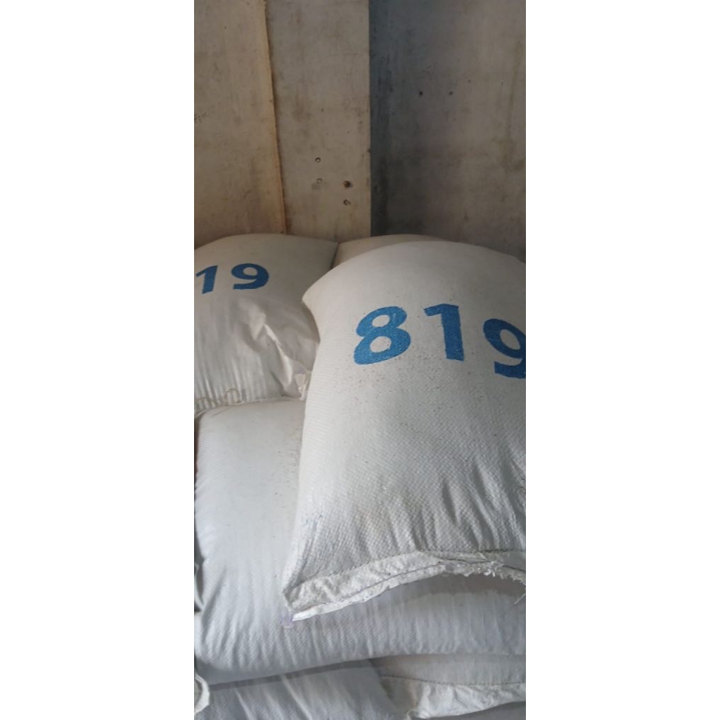 Kacang Hijau 819 Wakema (Siouci) 25Kg Khusus Tauge