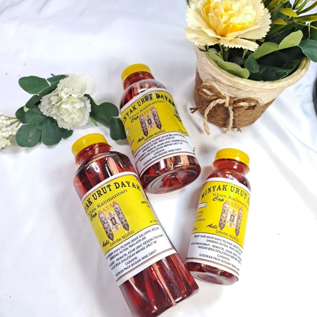 MINYAK URUT DAYAK | MINYAK KHAS KALIMANTAN | MINYAK DAYAK NGAJU