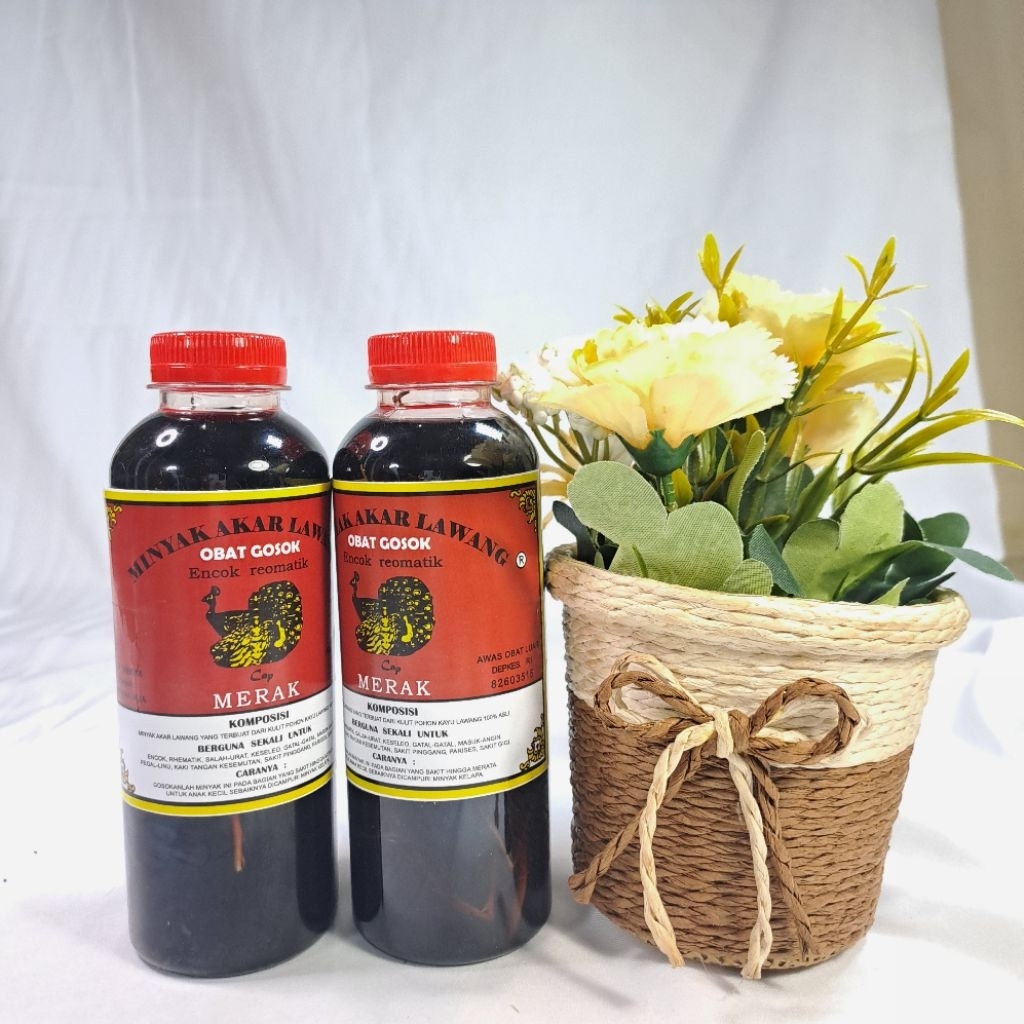 MINYAK URUT AKAR LAWANG | MINYAK AKAR LAWANG