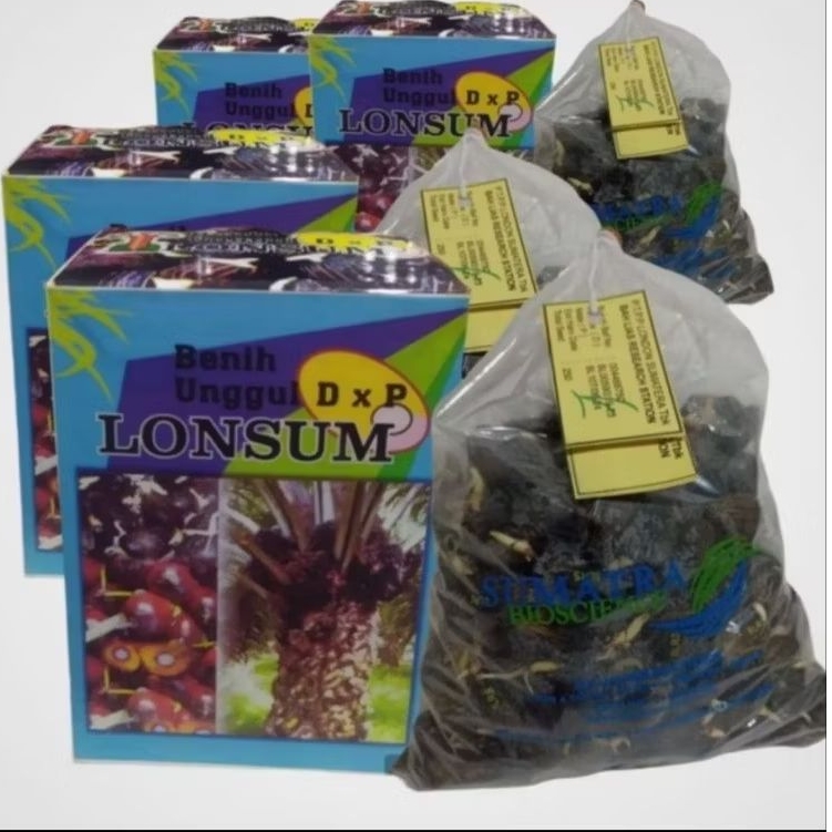 biji kecambah sawit dxp LONSUM isi 250 butir