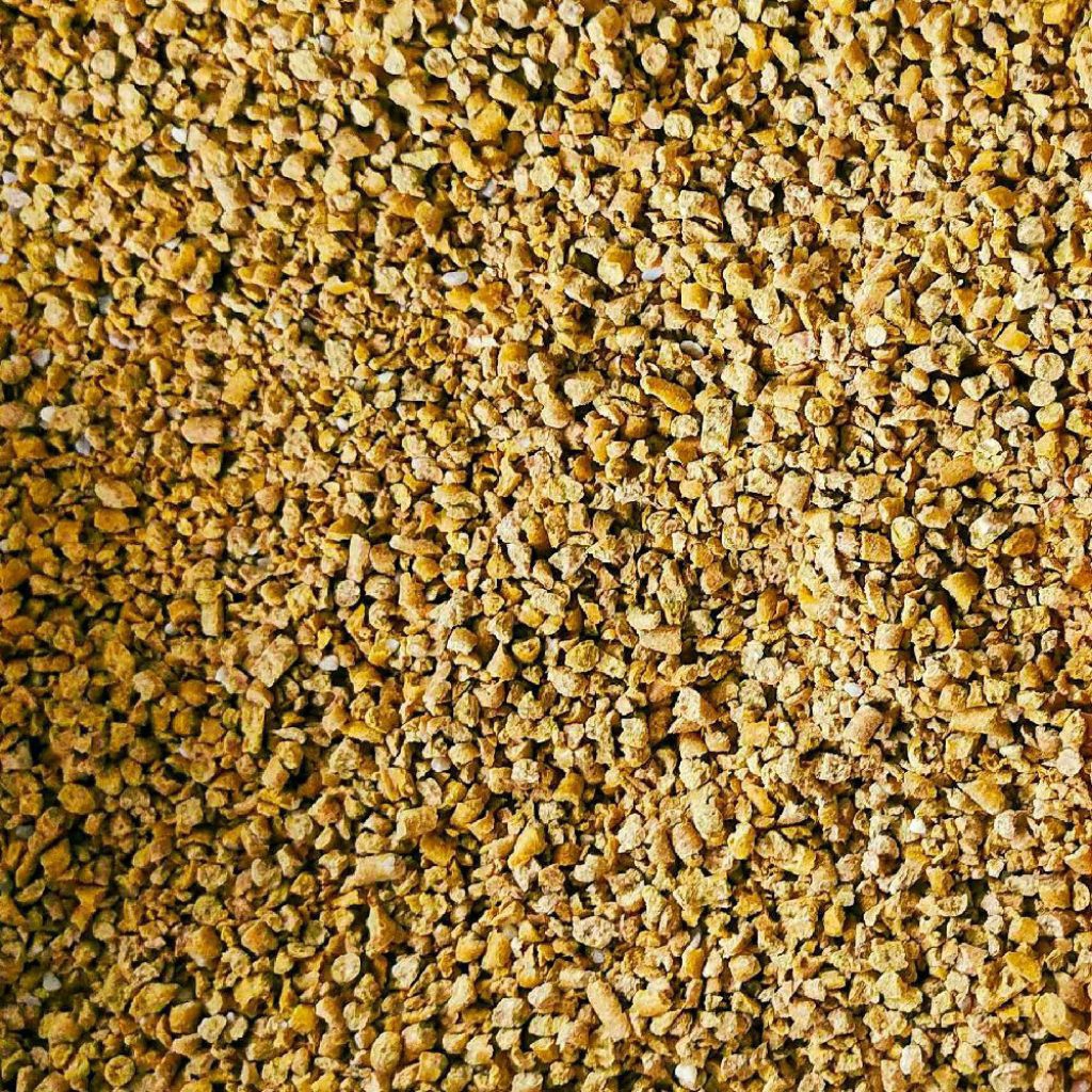 511 Polos 25KG & 50KG Pakan Anak Ayam Terbaik