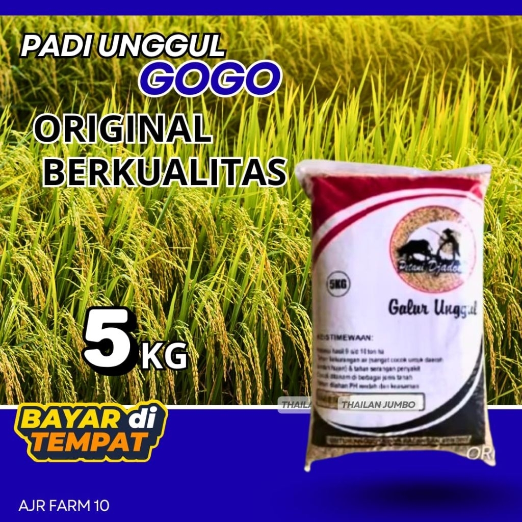 benih padi unggul GOGO kemasan 5kg