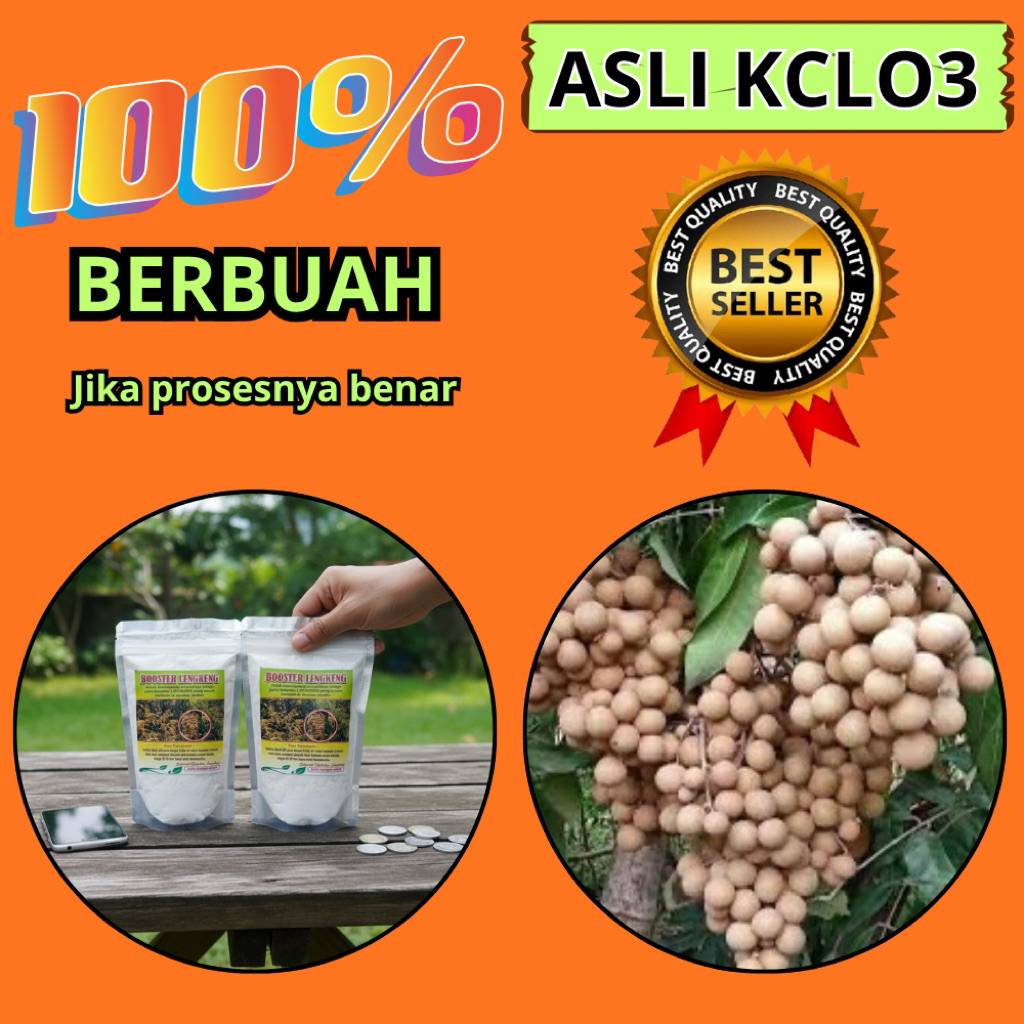 Booster Kelengkeng Murni 1 Kg, Booster Kelengkeng Kcl, Booster Kelengkeng Kclo3 Terdekat