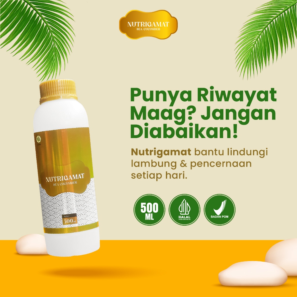 Nutri Gamat - Jelly Gamat Asli Original Ekstrak Teripang Emas Premium Bio Sea Cucumber Isi 500 ml