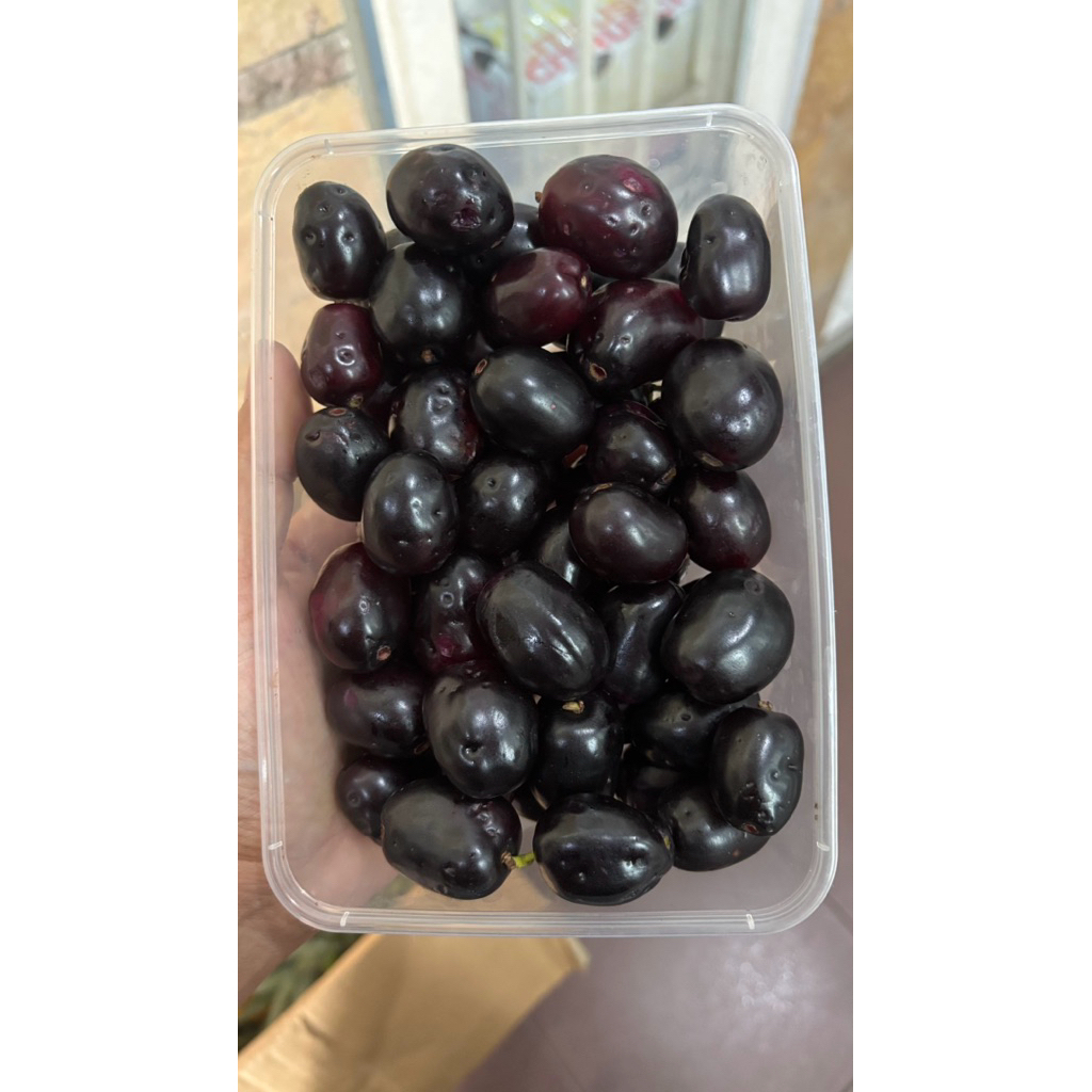 Buah jamblang/buah duwet 1pack