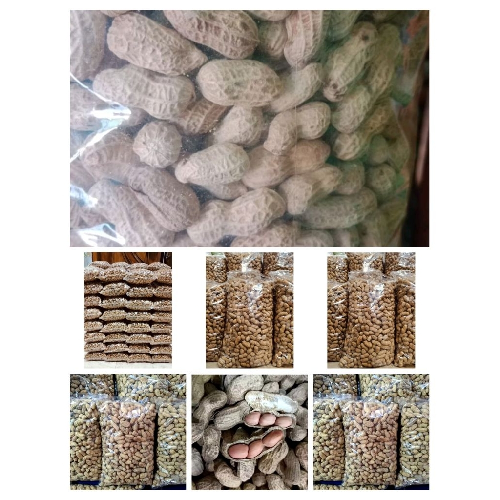 Kacang sangrai 1kg kacang tanah sangrai oven panggang.