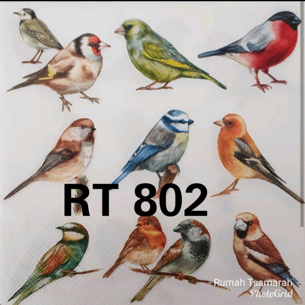 Tissue Decoupage Eropa