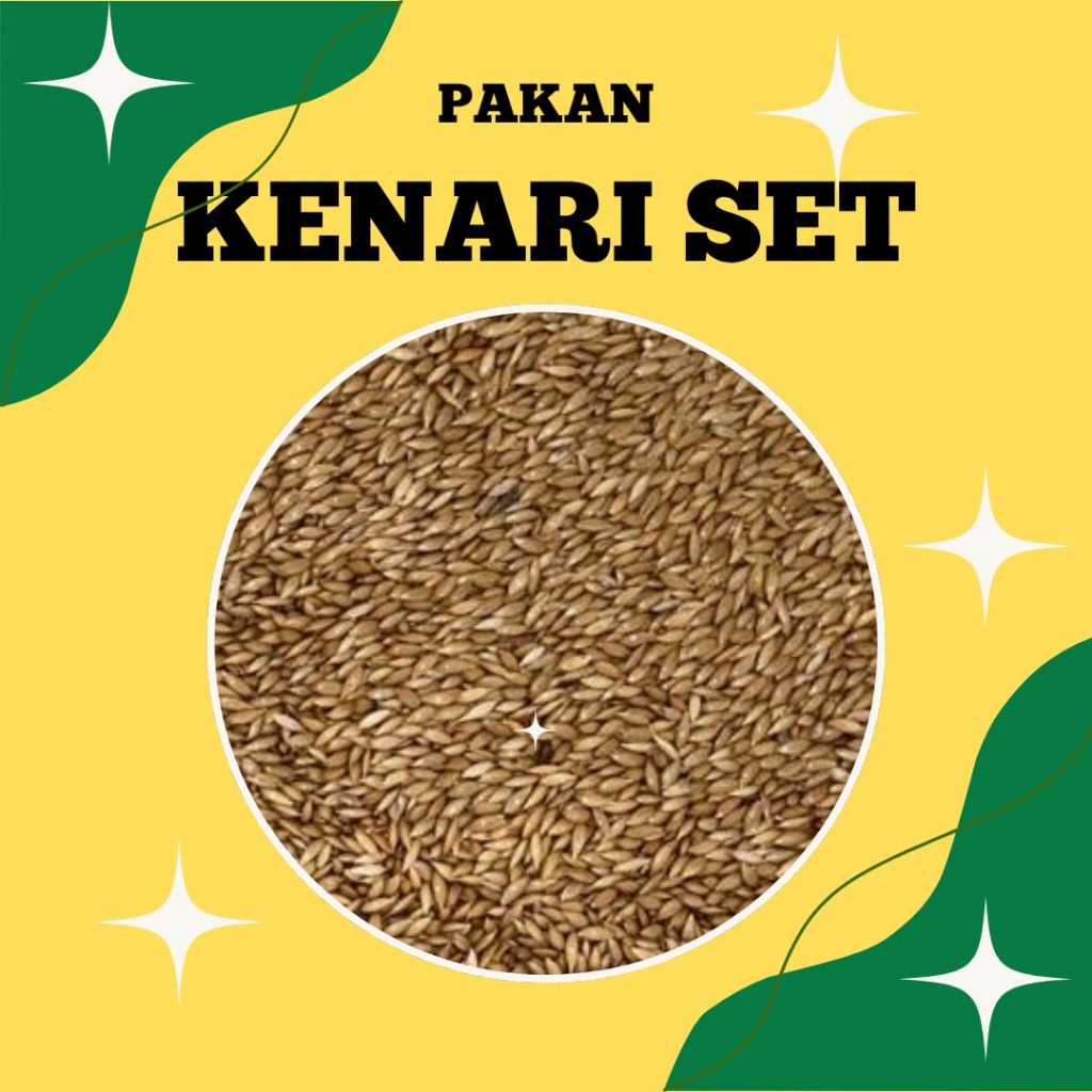 Kenari Seed Kiloan Untuk Pakan Harian Kenari, Blacthoat, Lovebird dll
