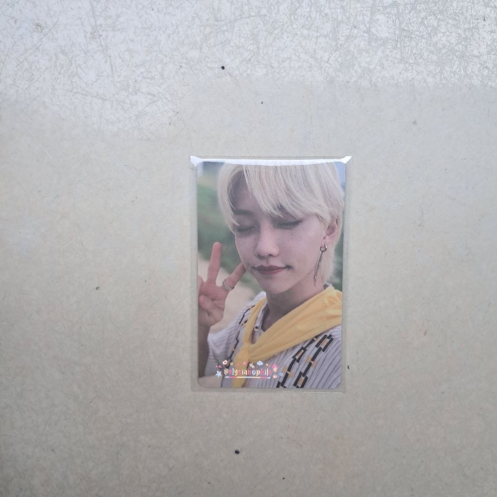 PC Felix Stray Kids LD Lucky Draw The View