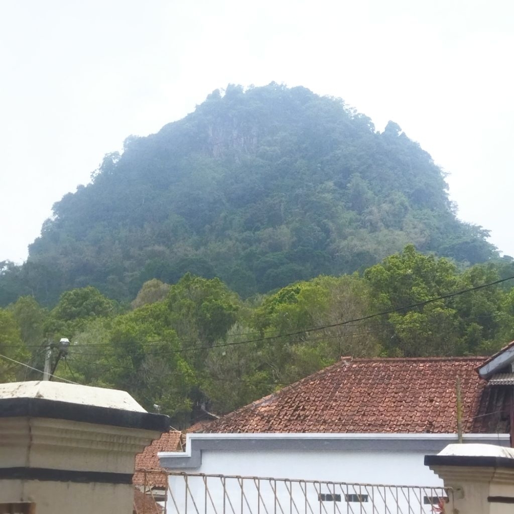 jagung pipil kering 1 kg