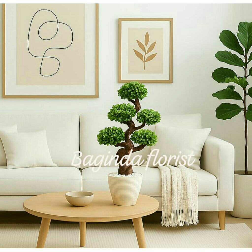 bonsai tree article set pot 60cm