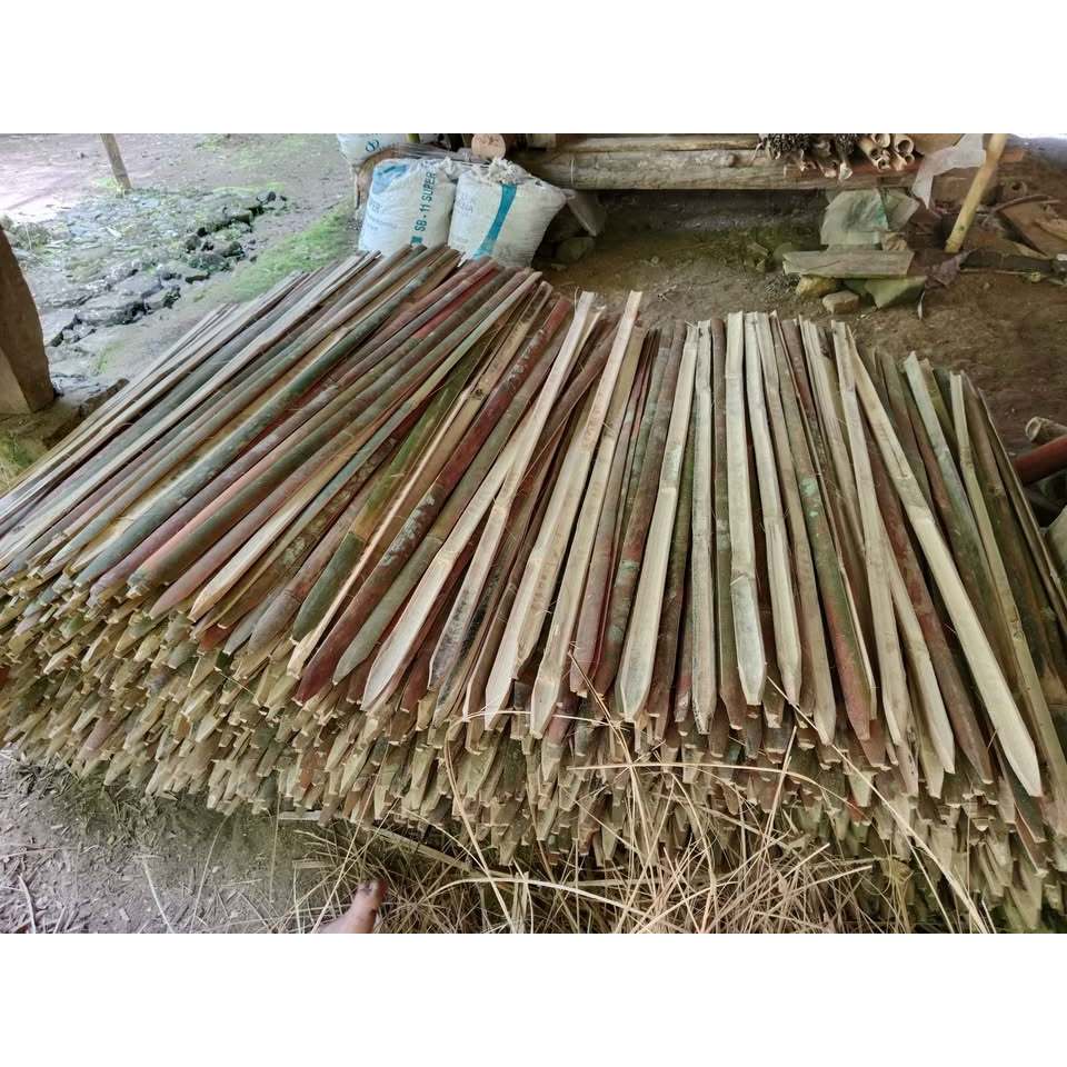 Bambu Wilahan Lanjaran Cabe Panjang 100 cm ujung runcing