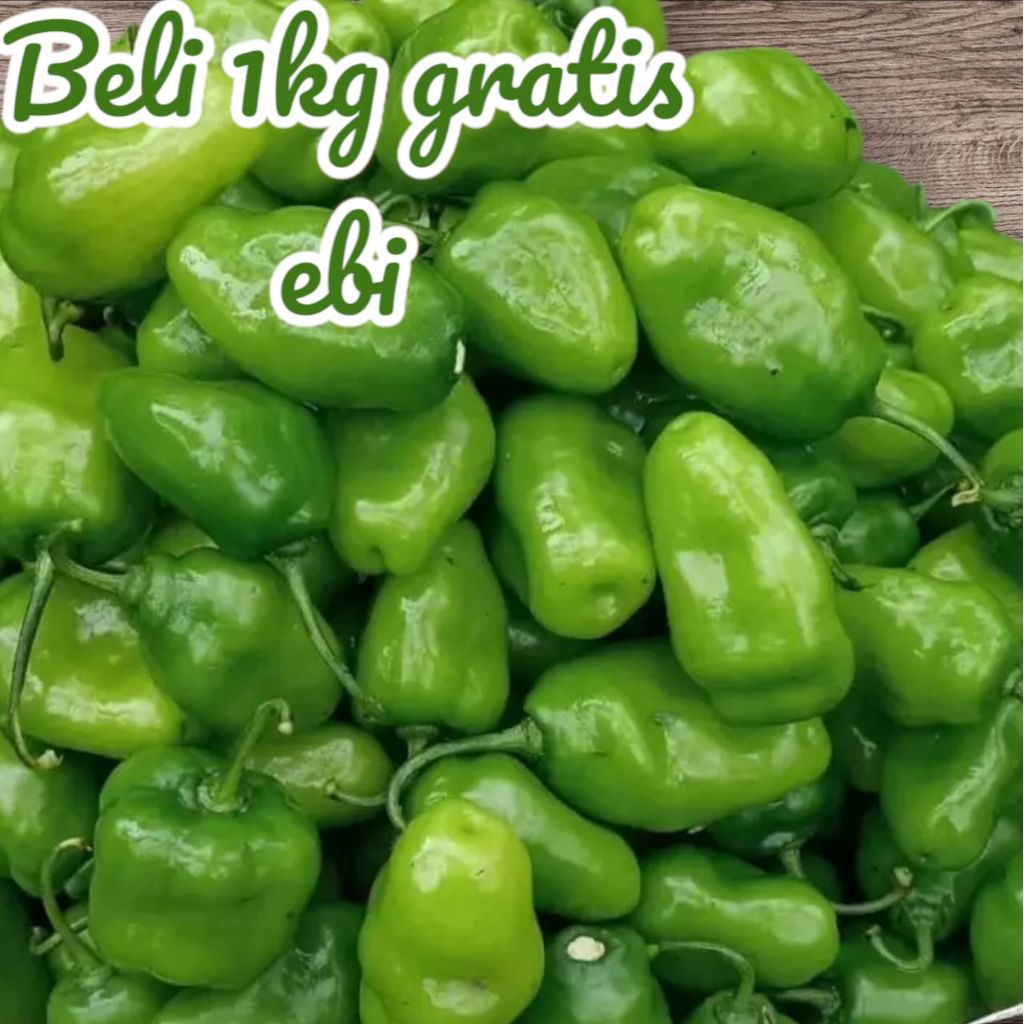 Cabe Gendot 1kg gratis ebi Segar Bandung /Cabe Gendot Fresh