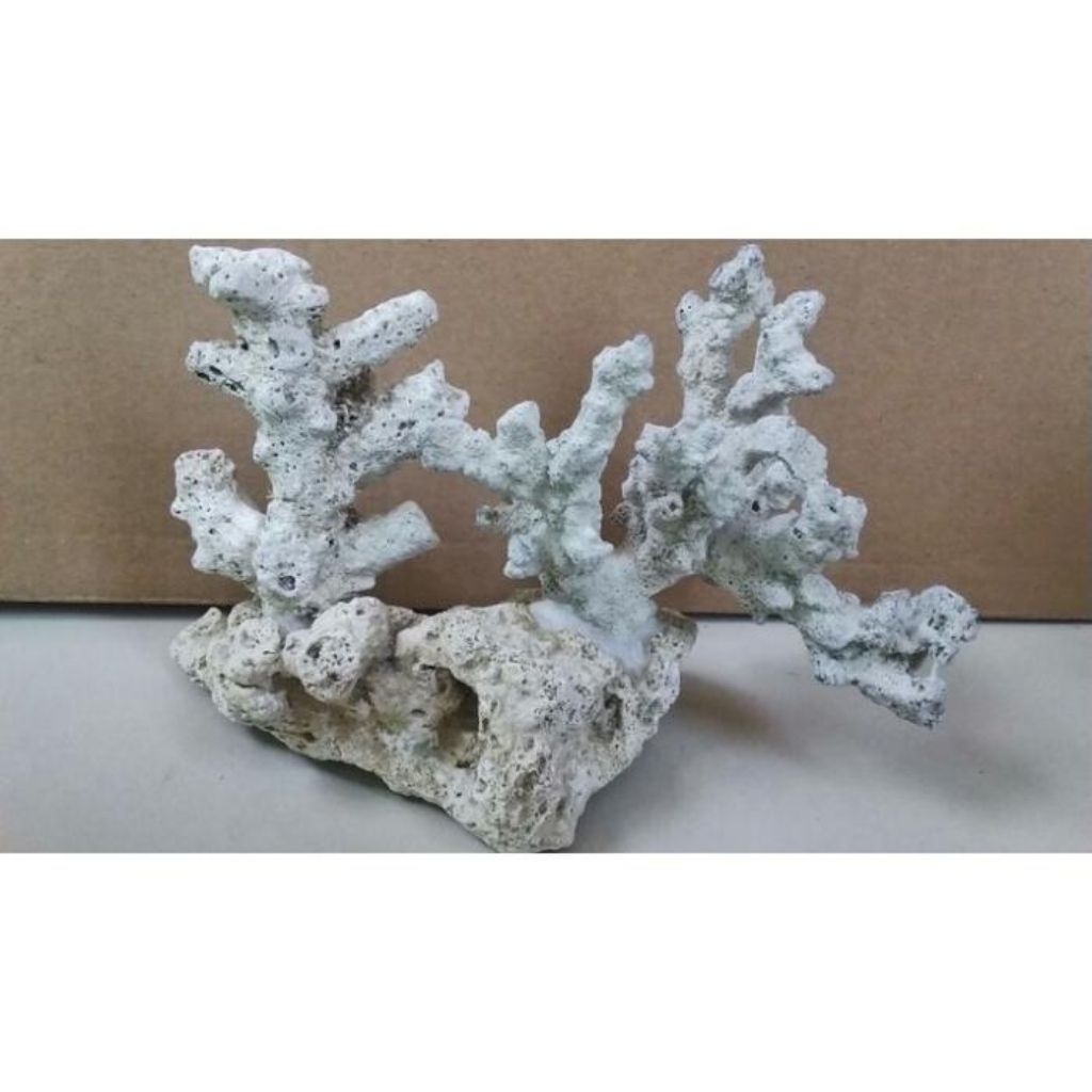 batu karang dekorasi akuarium