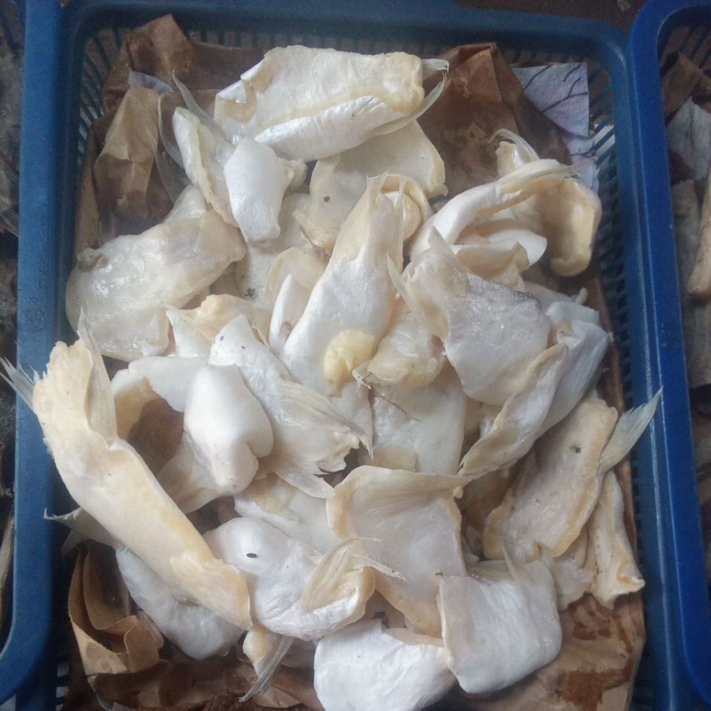 ikan asin tetelan patin