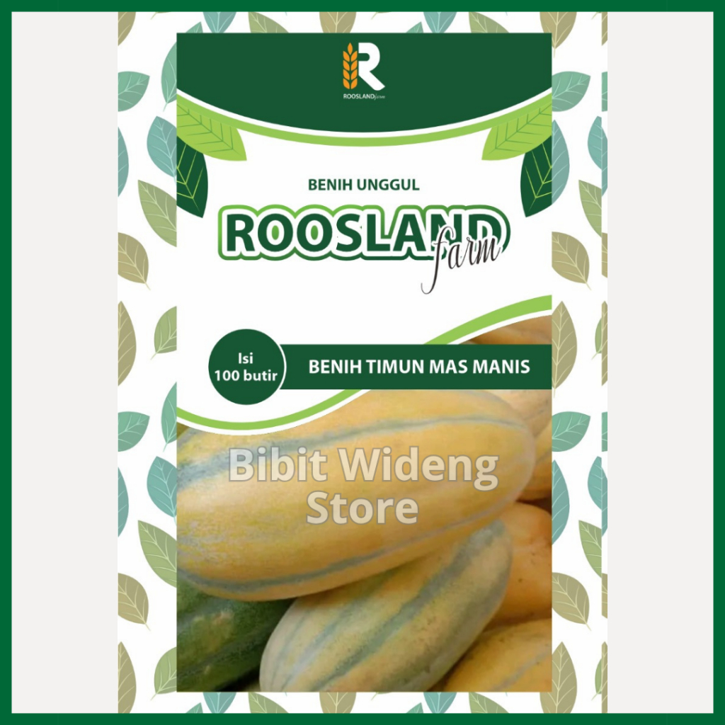 ( 100 BENIH ) TIMUN MAS MANIS | TIMUN MATANG | TIMUN MAS JAWA TIMUR