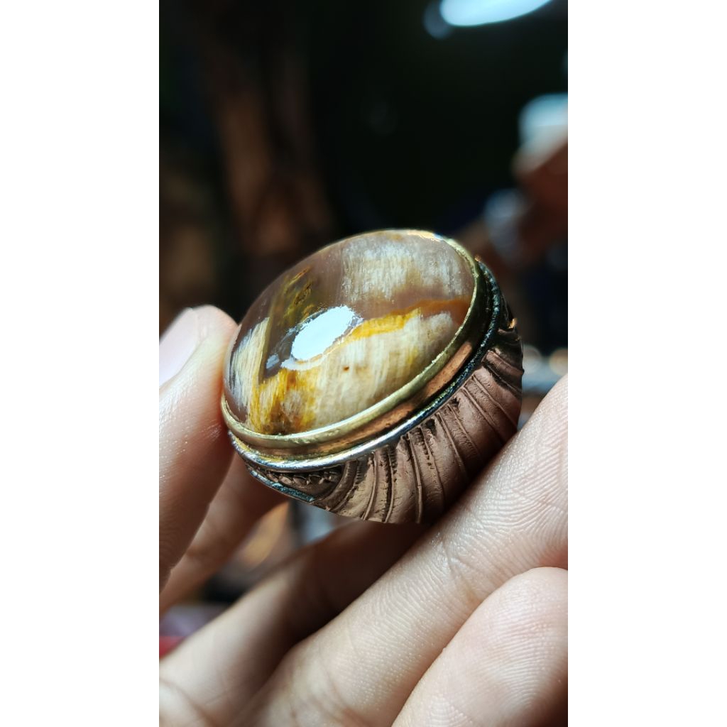 FOSIL KAYU DADAP SEREP MERAH FULL KRISTAL HQ SENTER TEMBUS PLONG