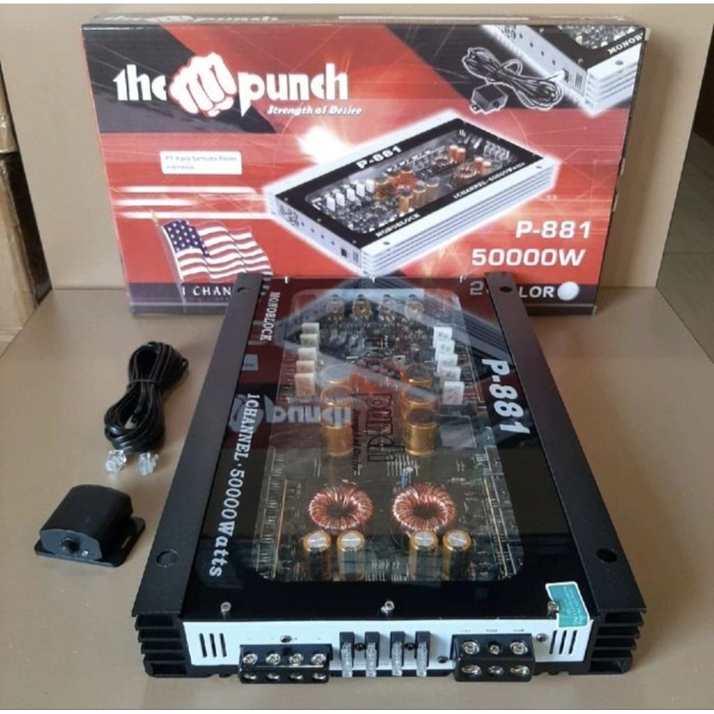 Power Monoblok P 881 Class D Amplifier The Punch P 881 Monoblock  THE PUNCH P881