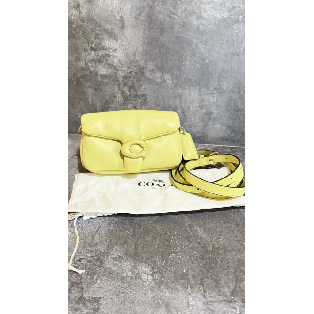 Preloved Tabby Pillow 18