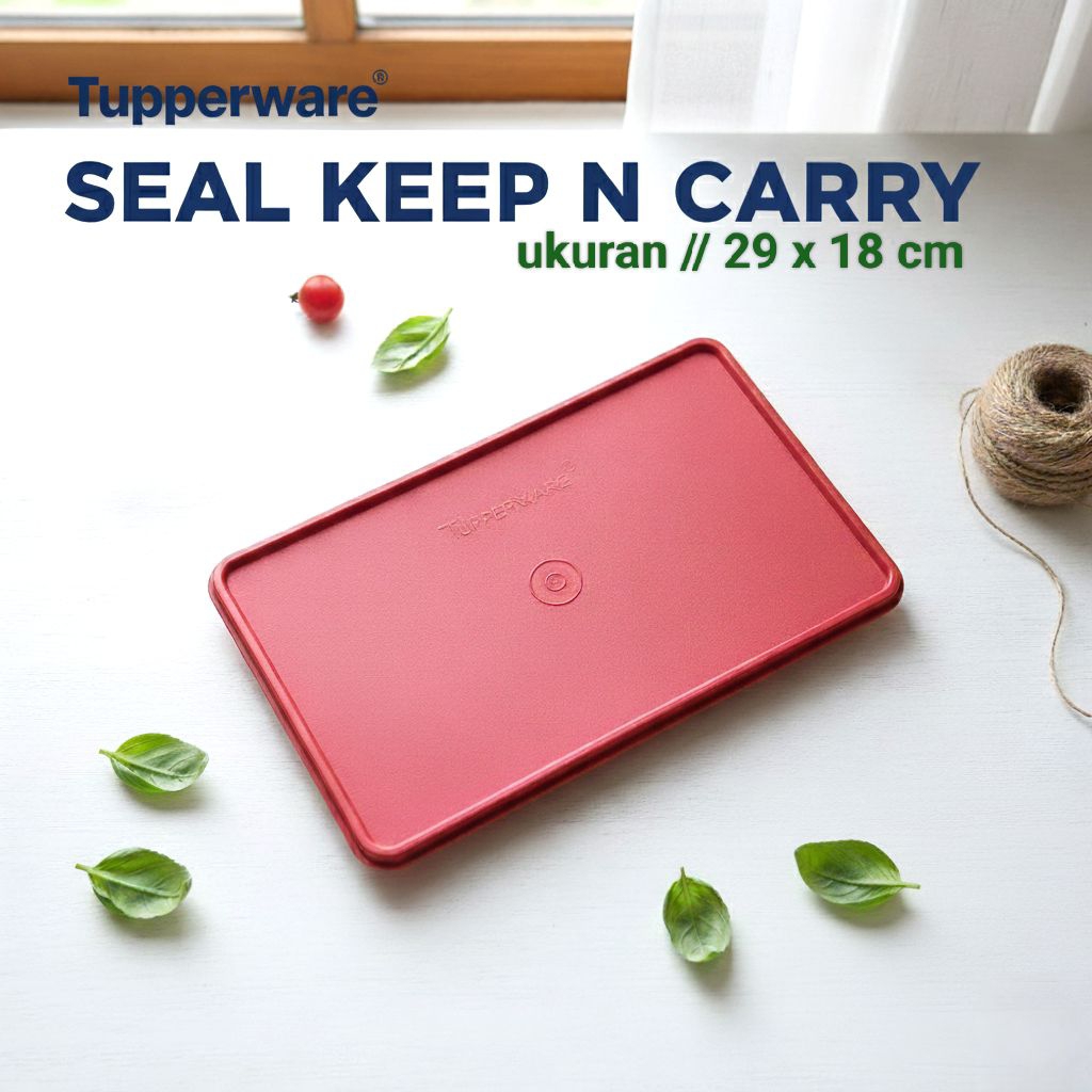 BARU Seal Keep n Carry ORI Tupperware