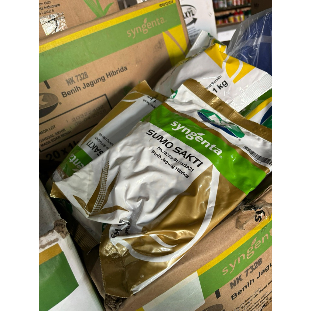 Benih Jagung NK Sumo Sakti - 1 Kg