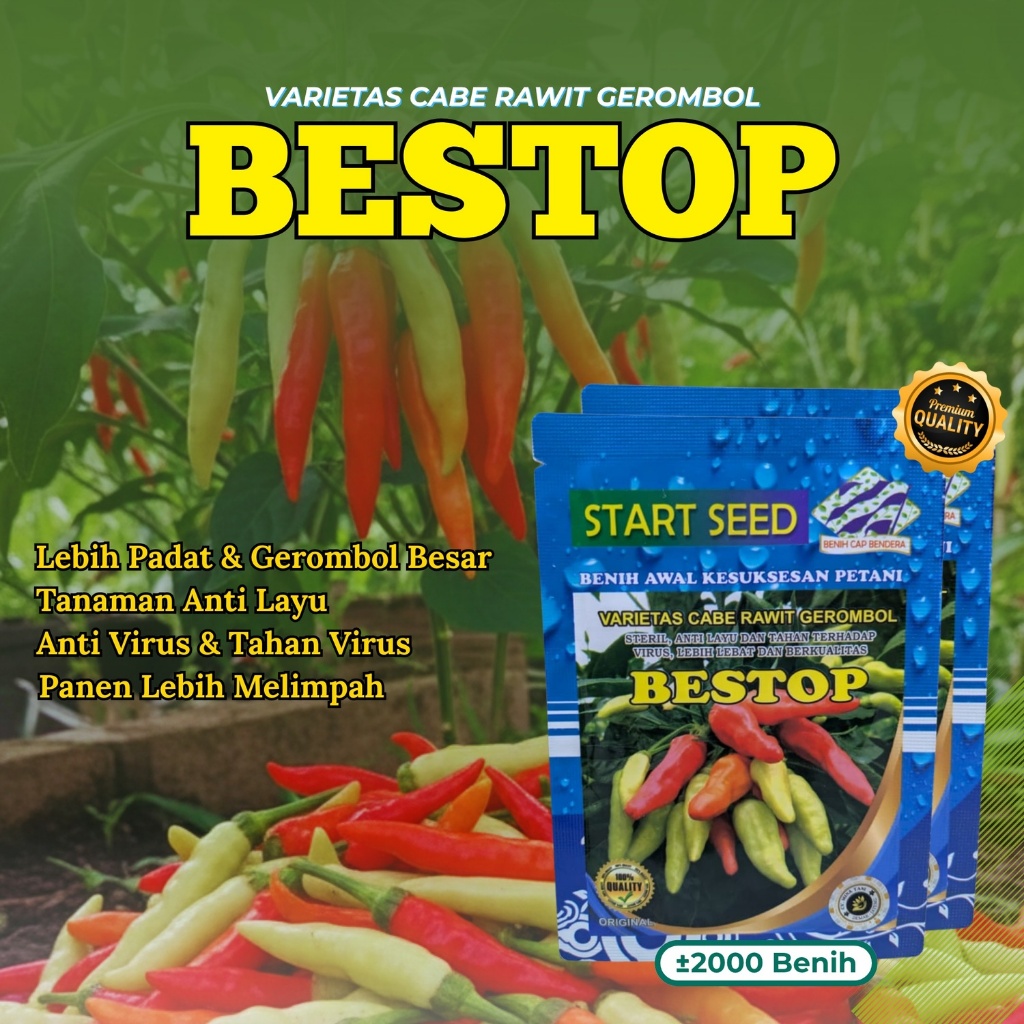 TOP1 Bibit Cabe Rawit Unggul BESTOP Original (2000 Biji) Premium, Benih Bibit Cabe rawit Setan Unggu