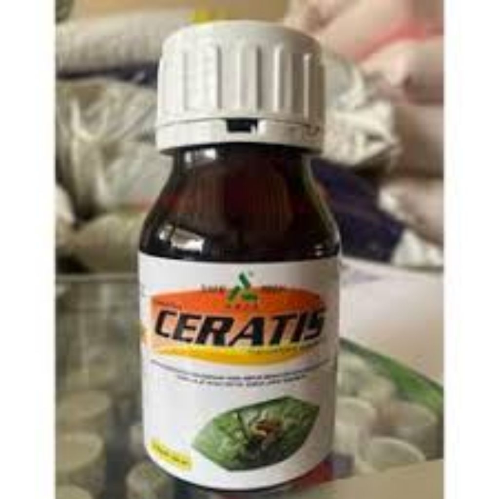 insektisida Ceratis 250 ML obat lalat buah