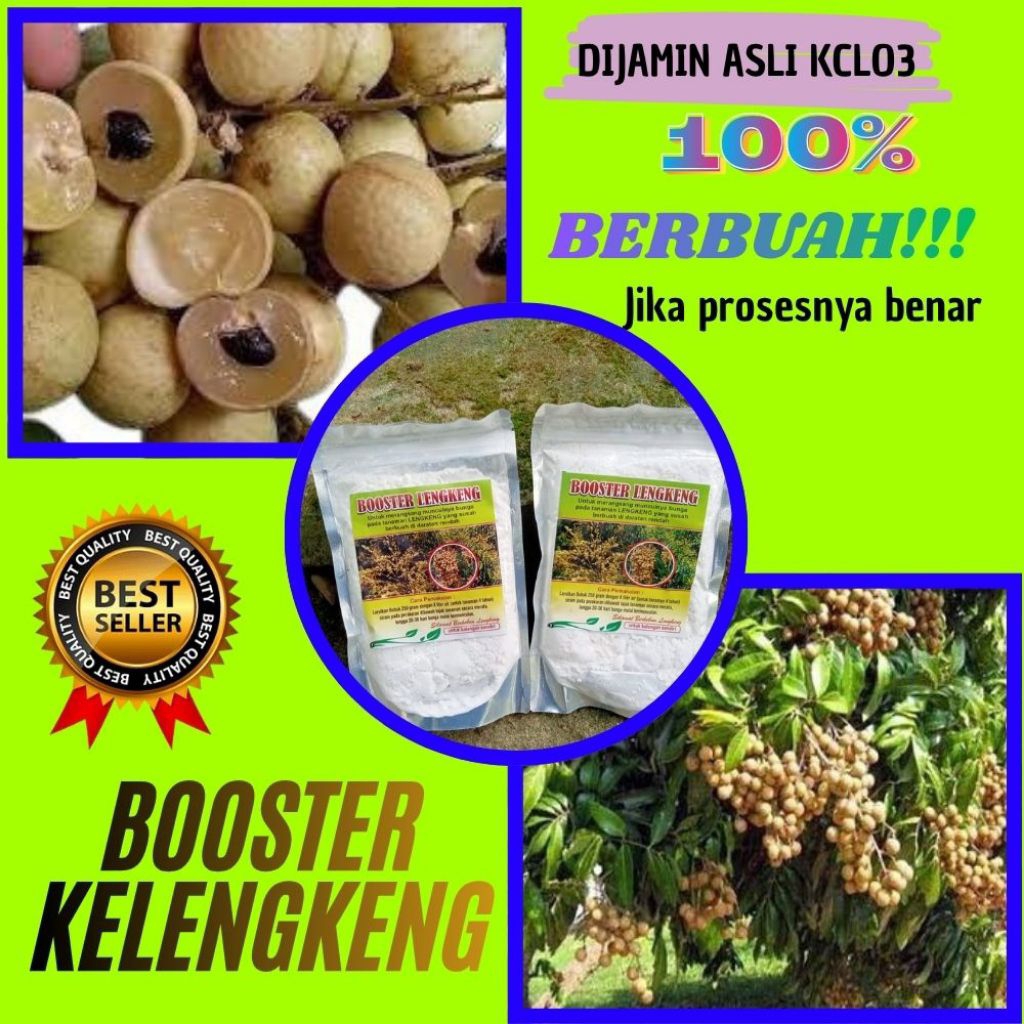 Booster Kelengkeng Murni 1 Kg, Booster Kelengkeng Kcl