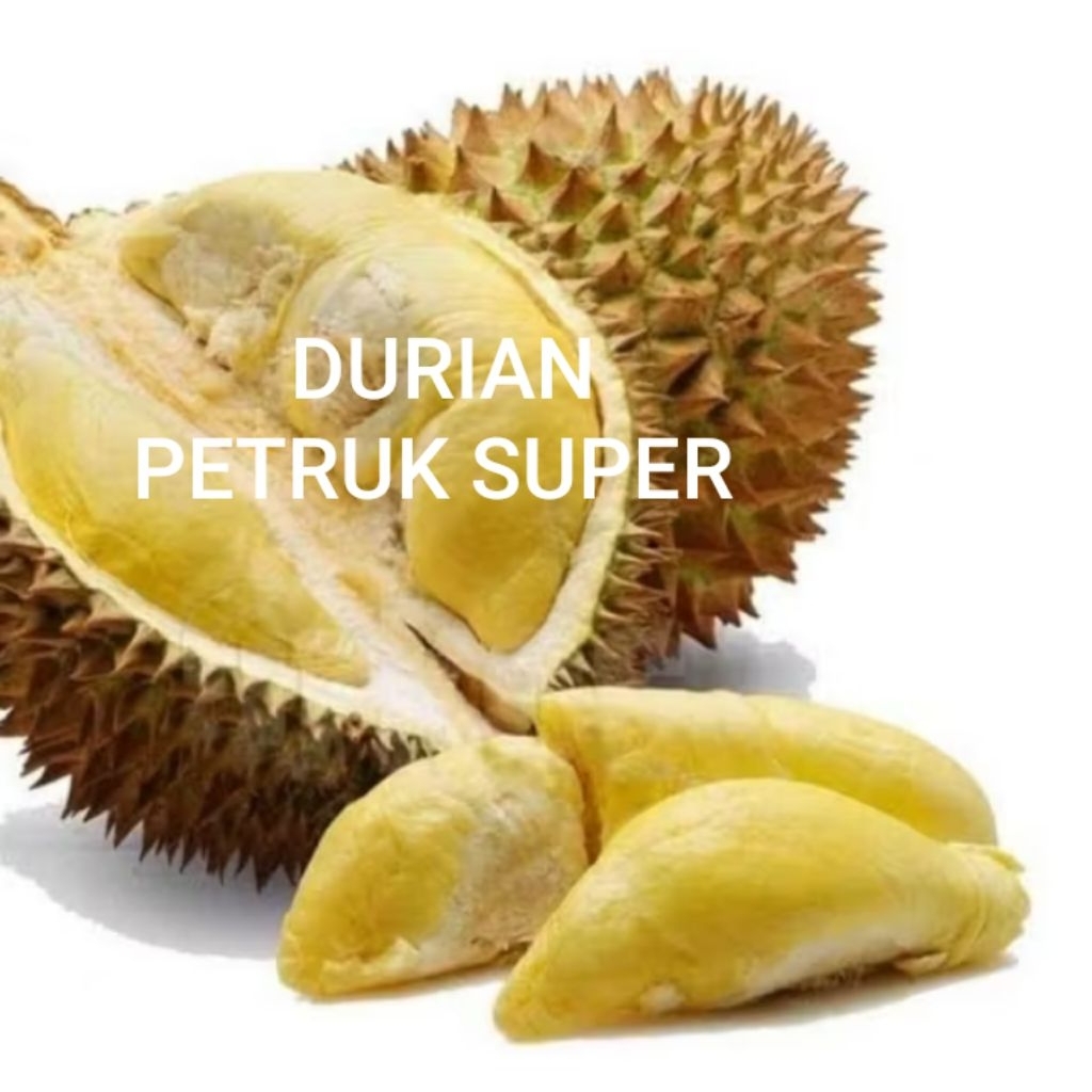 GARANSI.. BUAH DURIAN PETRUK SUPER UTUH FRESH MANIS 1 - 3 KG