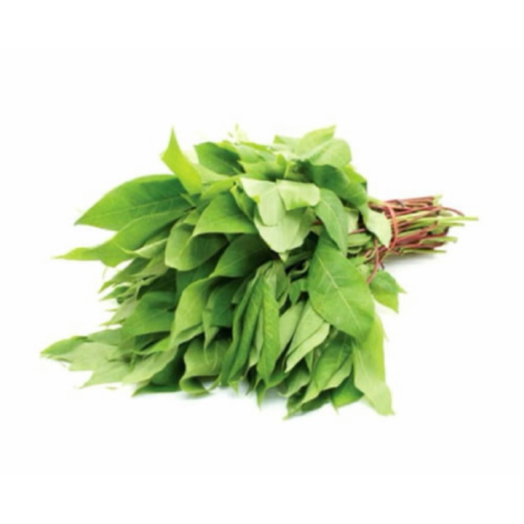 Daun singkong/sayur pucuk/daun singkong fresh/daun singkong instan