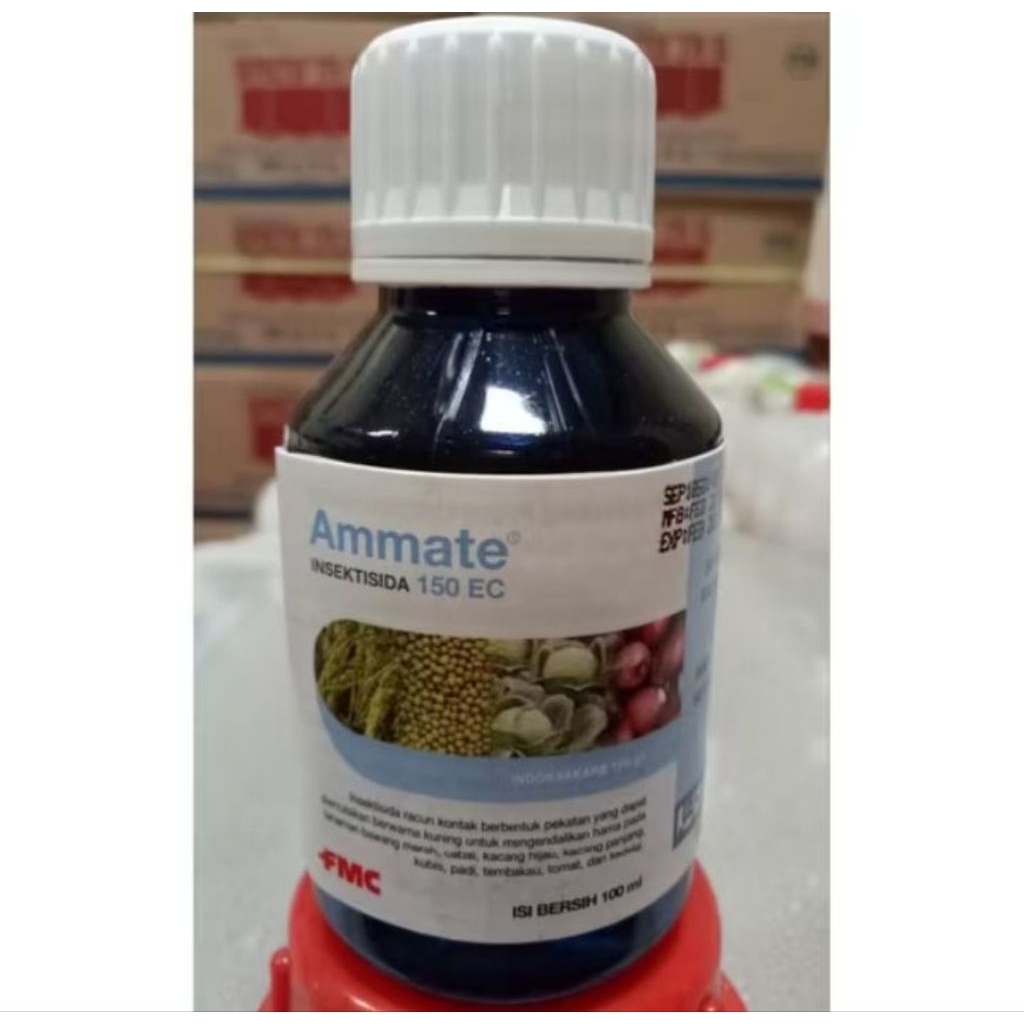 insektisida Ammate 100ml