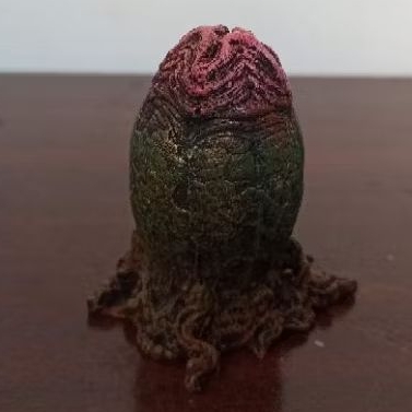 Diorama alien egg figure predator neca figma mcfarlene shf revoltech mafex mezco marvel legends