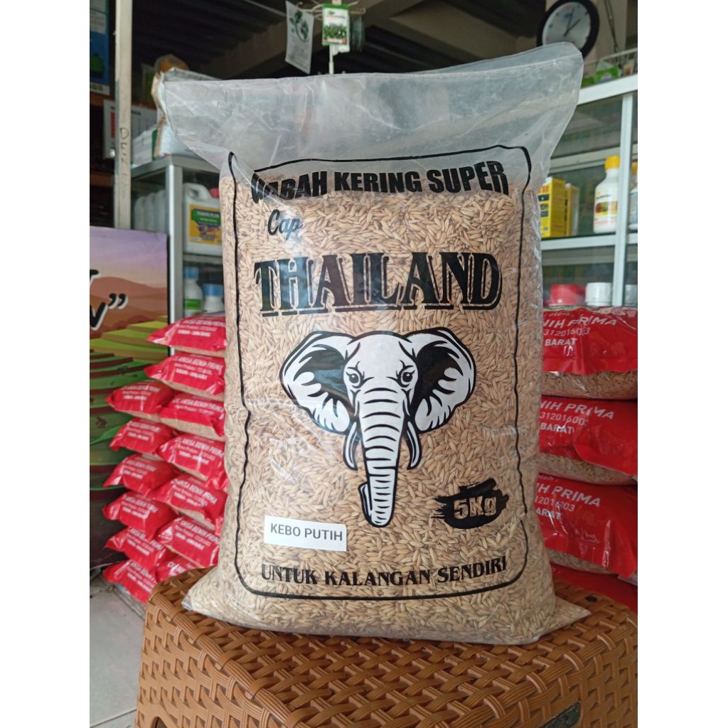 Benih Padi Kebo Putih 5 Kg