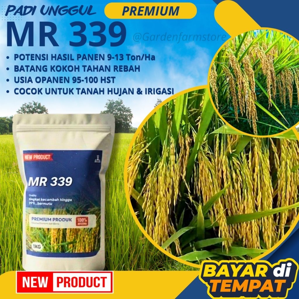 [Promo] Benih Bibit Padi Unggul MR 339 Kualitas Original Kemasan 1Kg