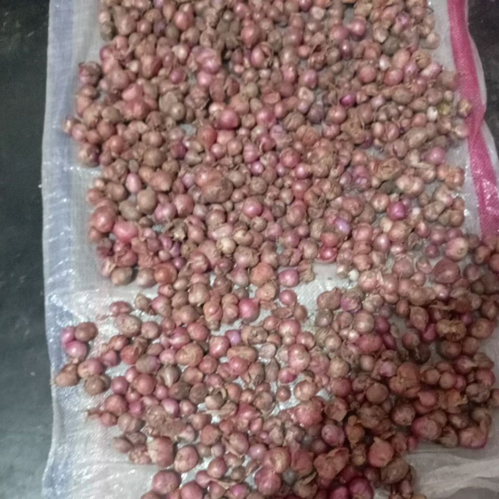 bawang merah  dan bawang putih