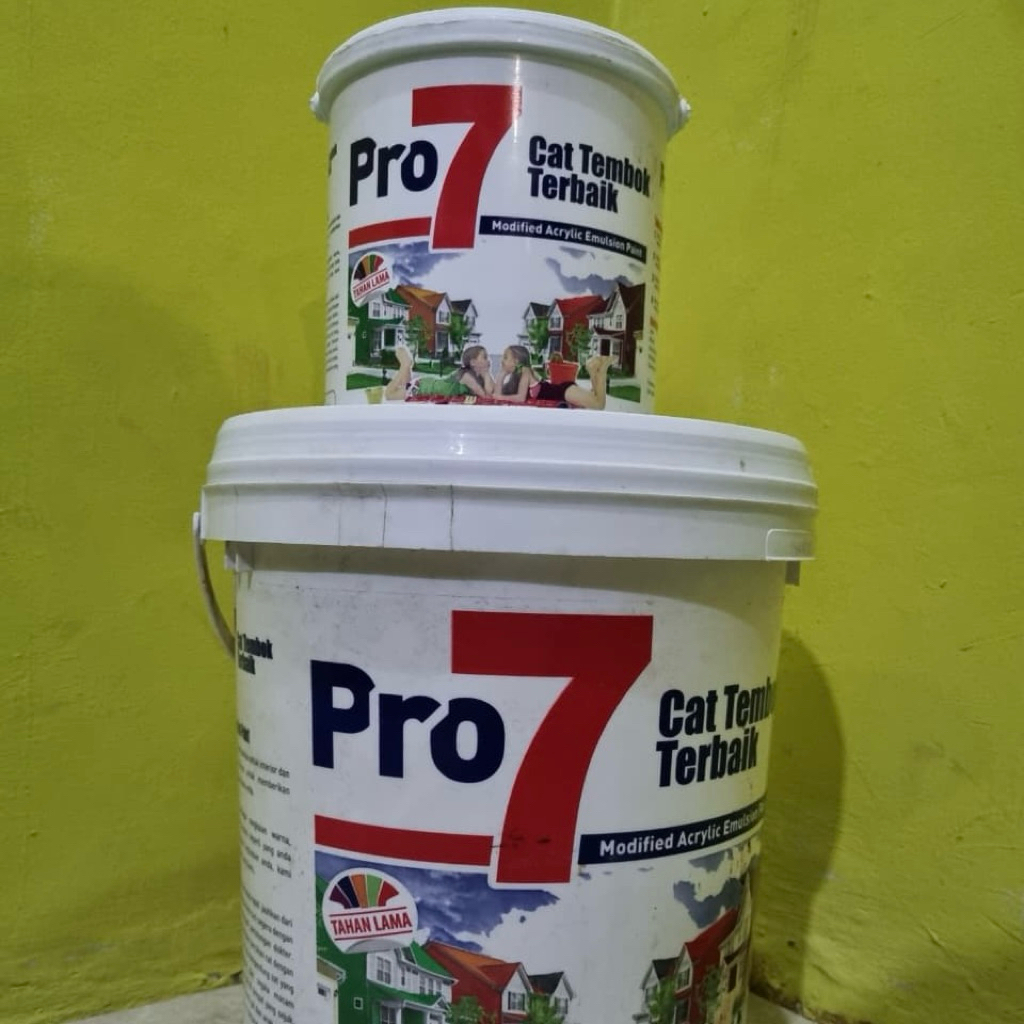 SALE Cat Tembok Murah Kualitas Bagus Pro7 4kg 20kg BKB Paint