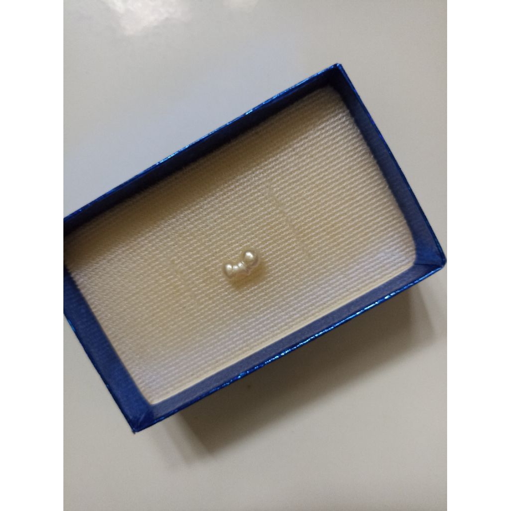 Mutiara Air Laut Asli Kepulauan Maluku