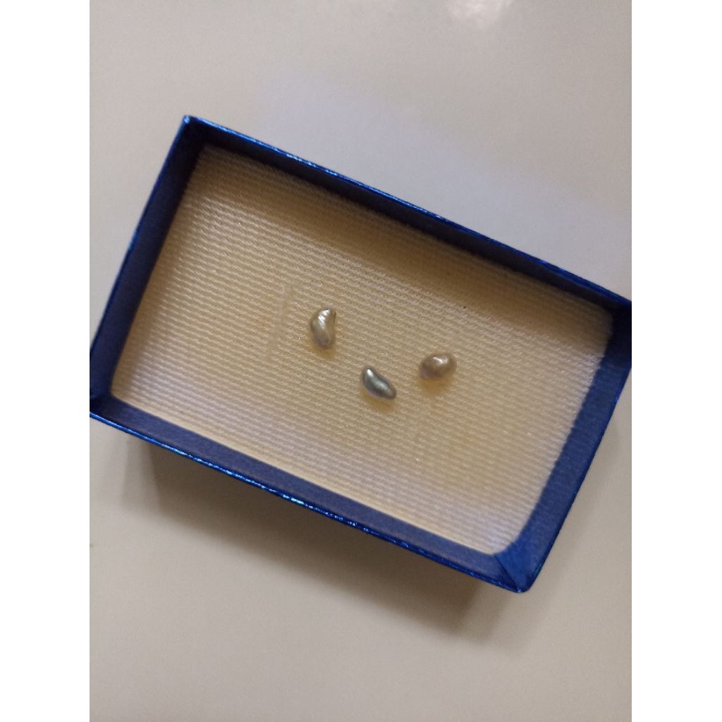 Mutiara Air Laut Asli Kepulauan Maluku