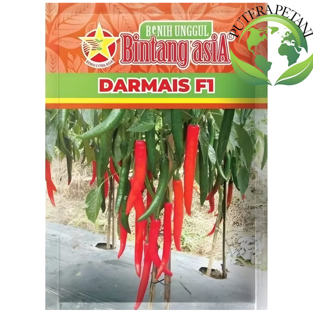 DARMAIS FI Cabai merah besar