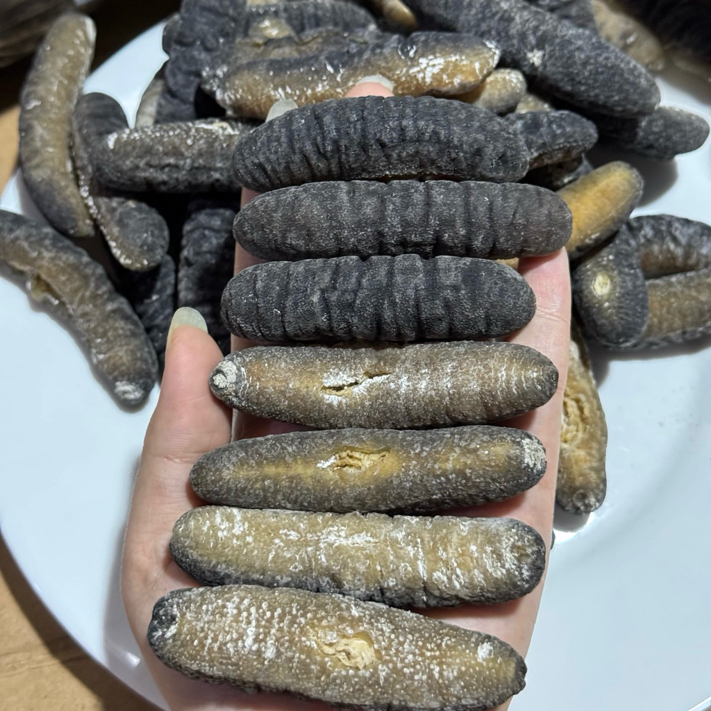 Hoisom Teripang Kering Oven BELITUNG 1KG