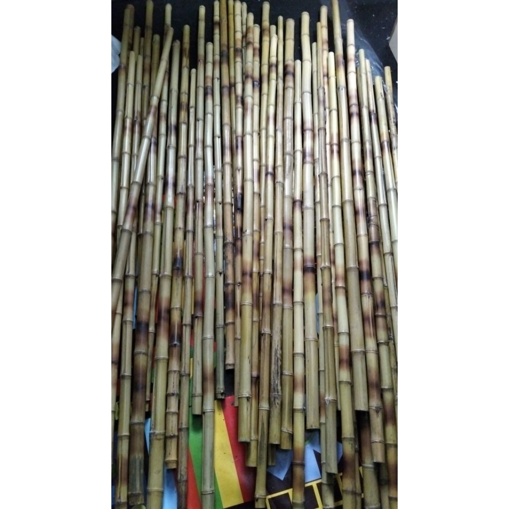 Bambu cendani lurus 100 batang untuk tongkat dan dekorasi